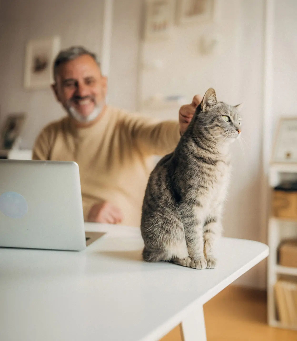 A man working from home pets a gray cat perched on the end of his desk