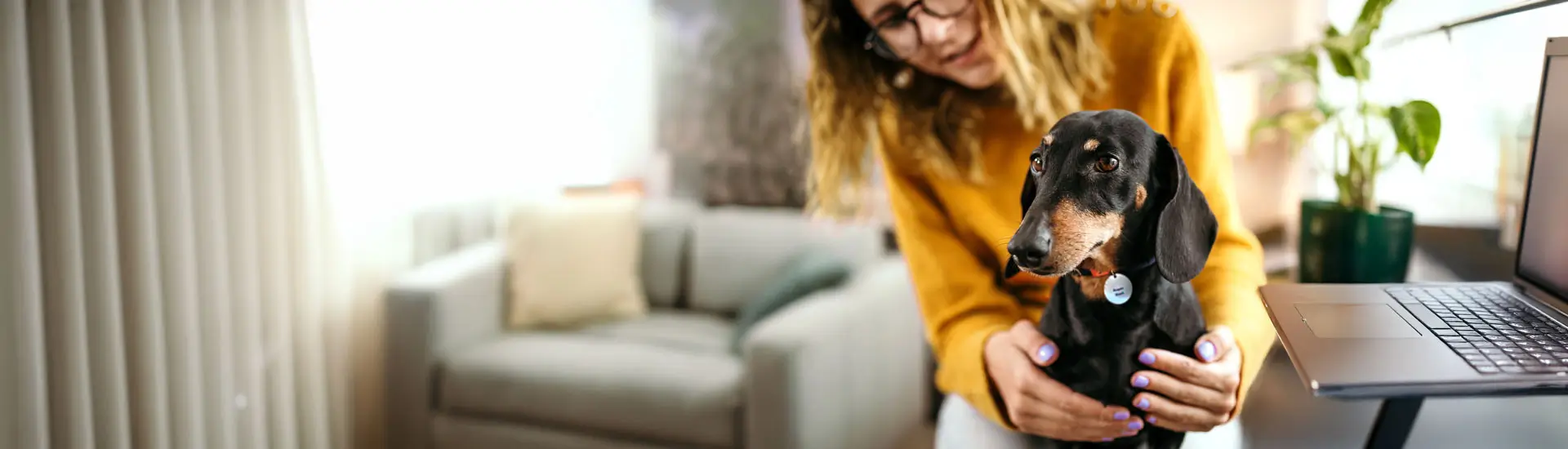 Woman with glasses and a yellow shirt holds her Dachsund