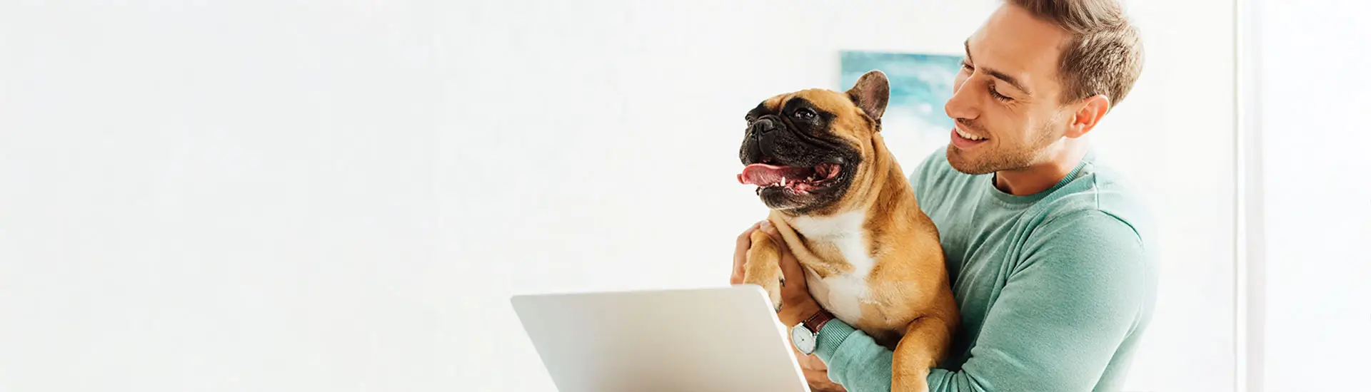 A man in a green shirt in a brightly lit office holds his pug