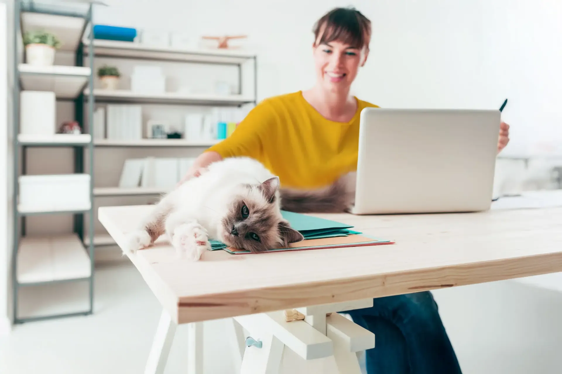 A woman with a bright yellow shirt sits in a bright office while her cat lays playfully on the desk