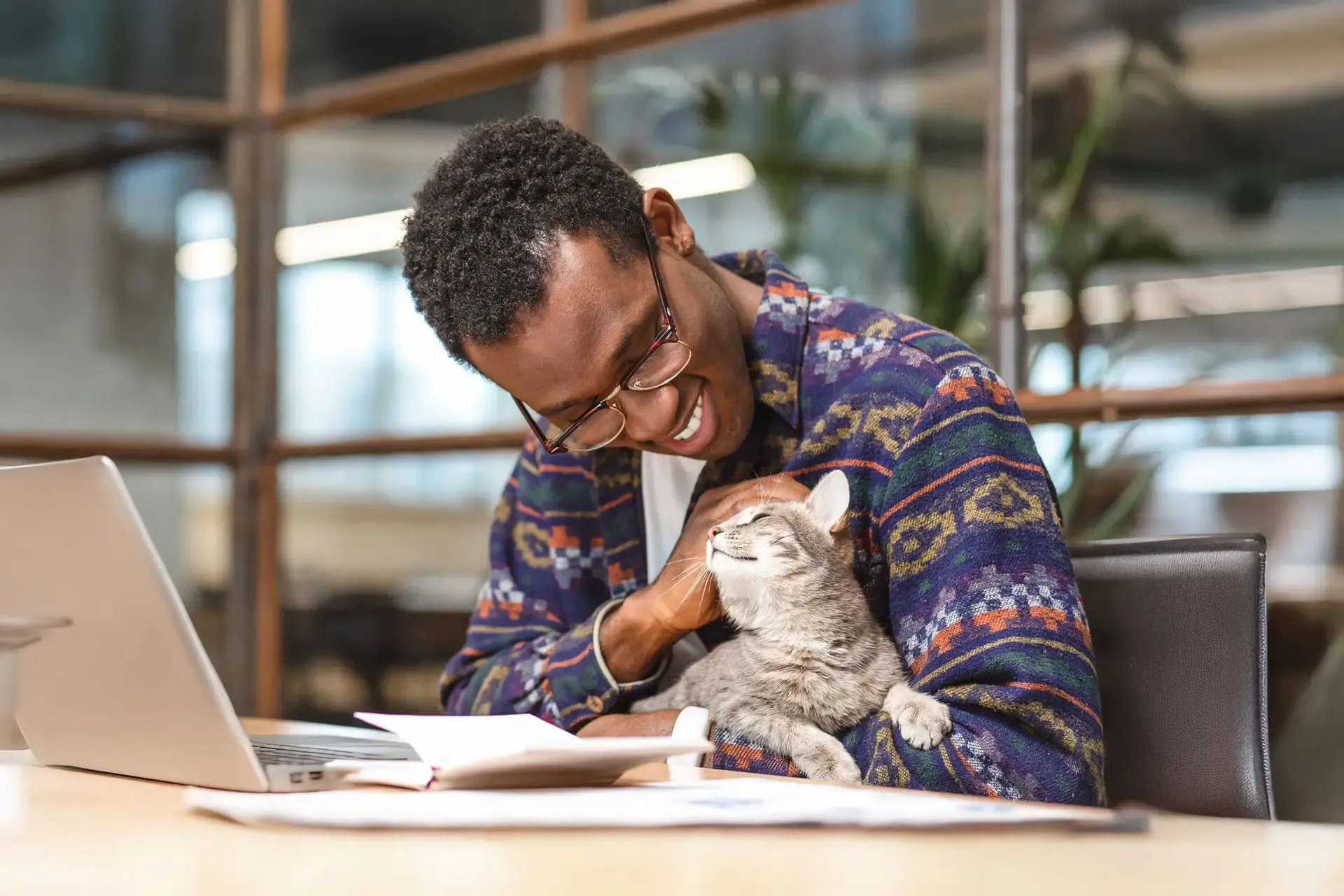 A cute little cat is cuddled by a smiling man