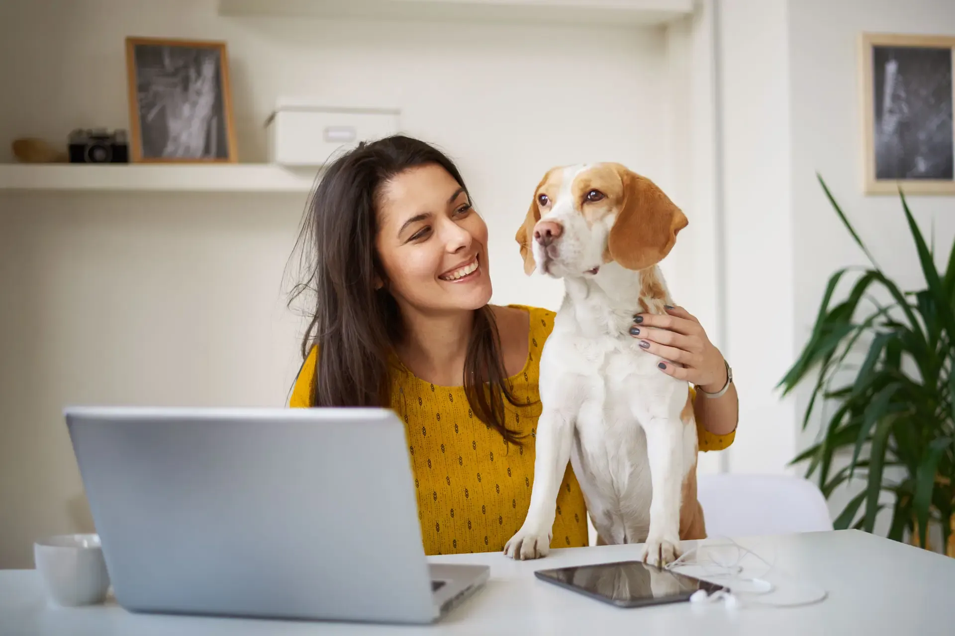 A Beagle joins a woman in yellow at her office desk