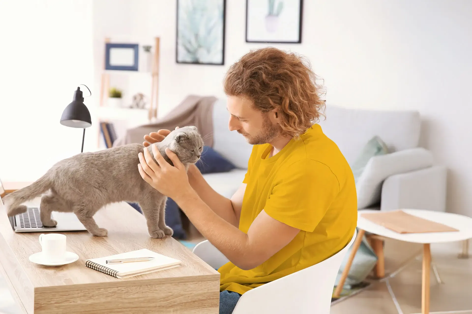 Man in a bright yellow shirt sits at his desk and pets his cat
