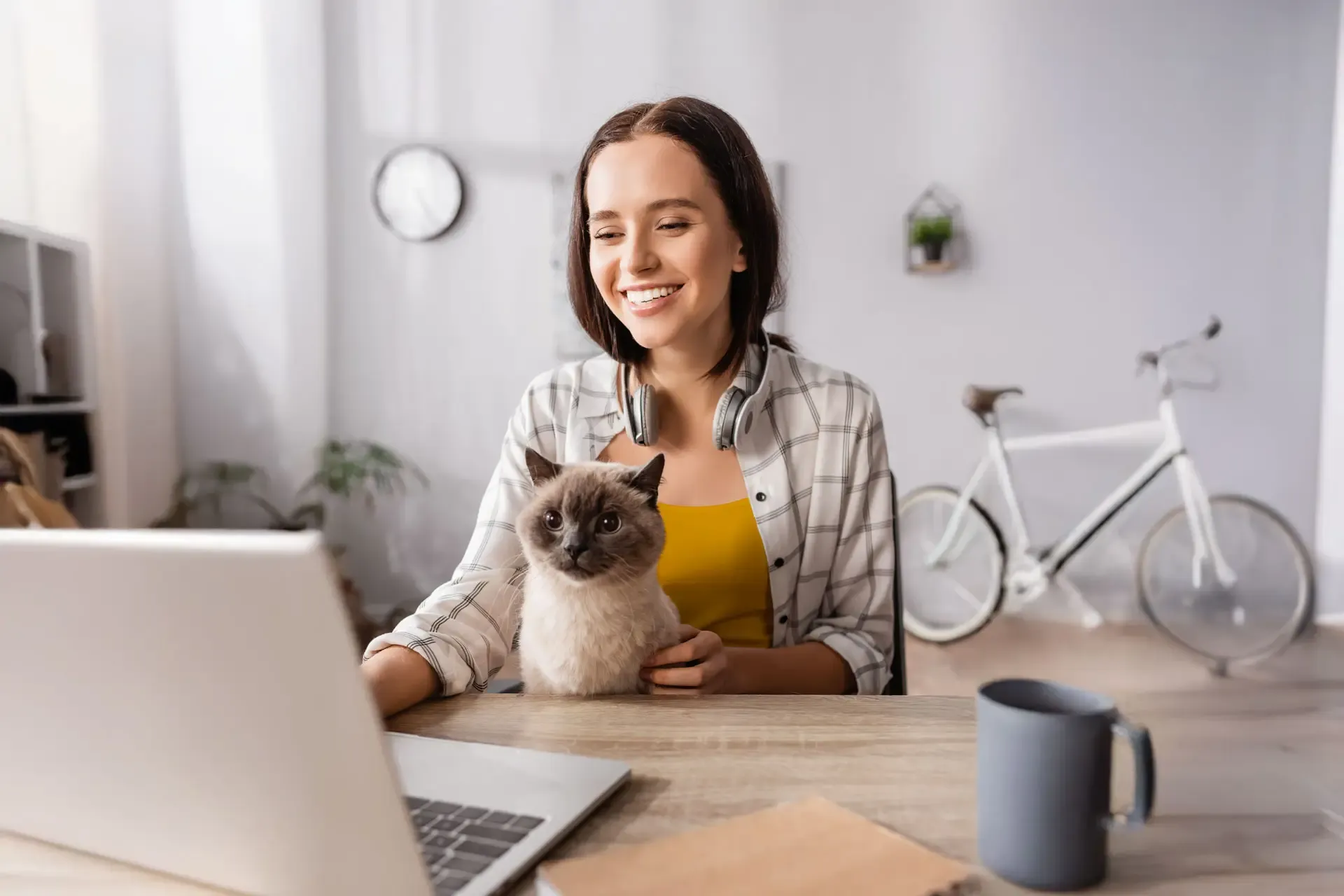 A happy woman works intently at her laptop while her cat sits in her lap